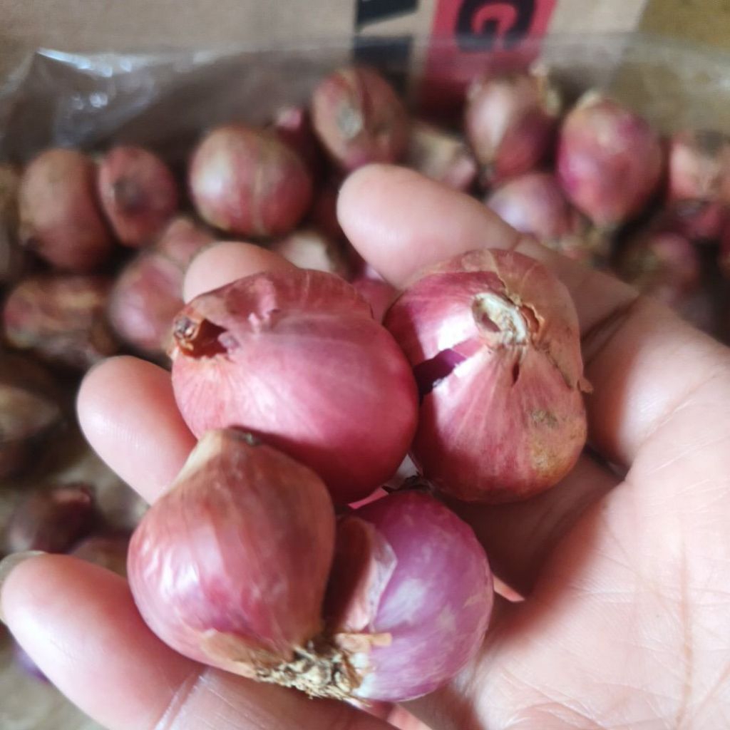 

BRAMBANG BIMA GARING