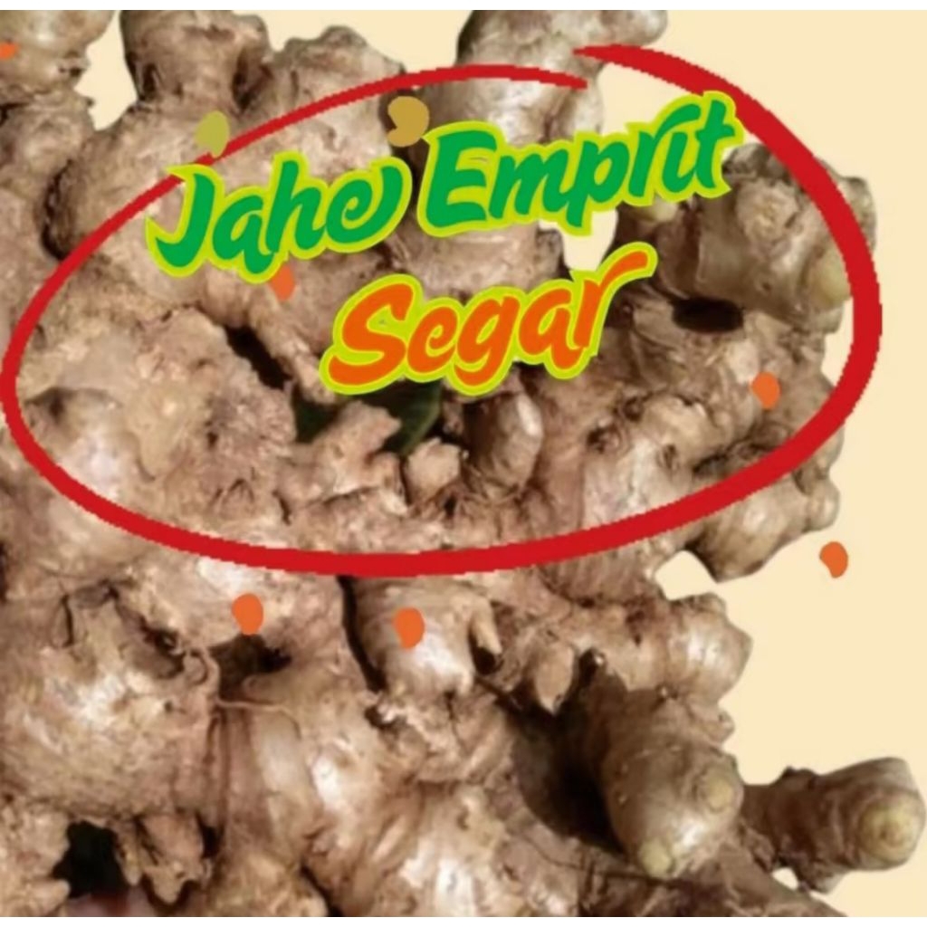 

jahe emprit segar/fresh. kemasan 500 gr dan 1000 gr