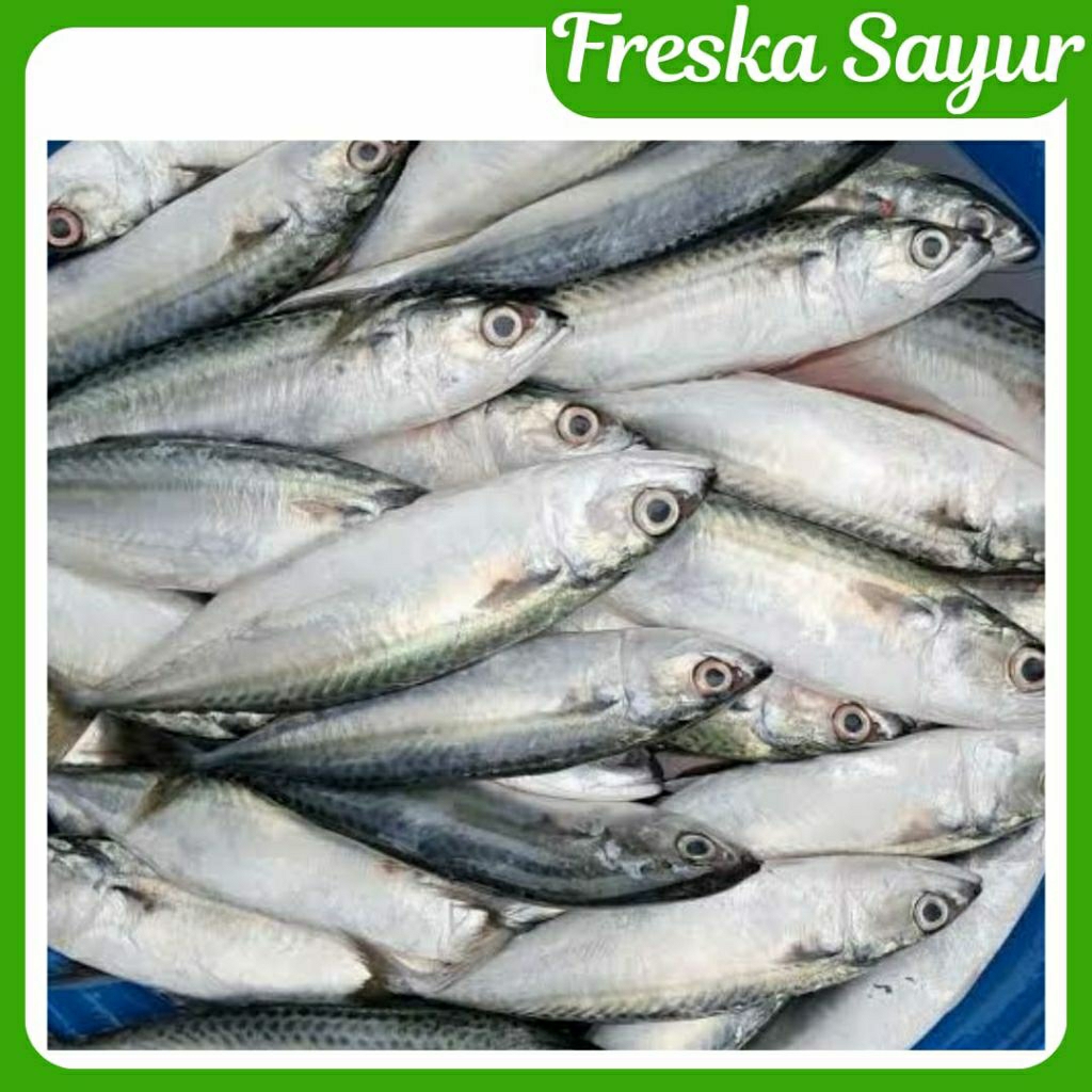 

Ikan Kembung Fresh 500 gr