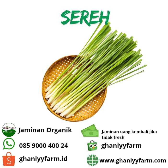 

Rempah Organik Sereh Organik 250 Gram