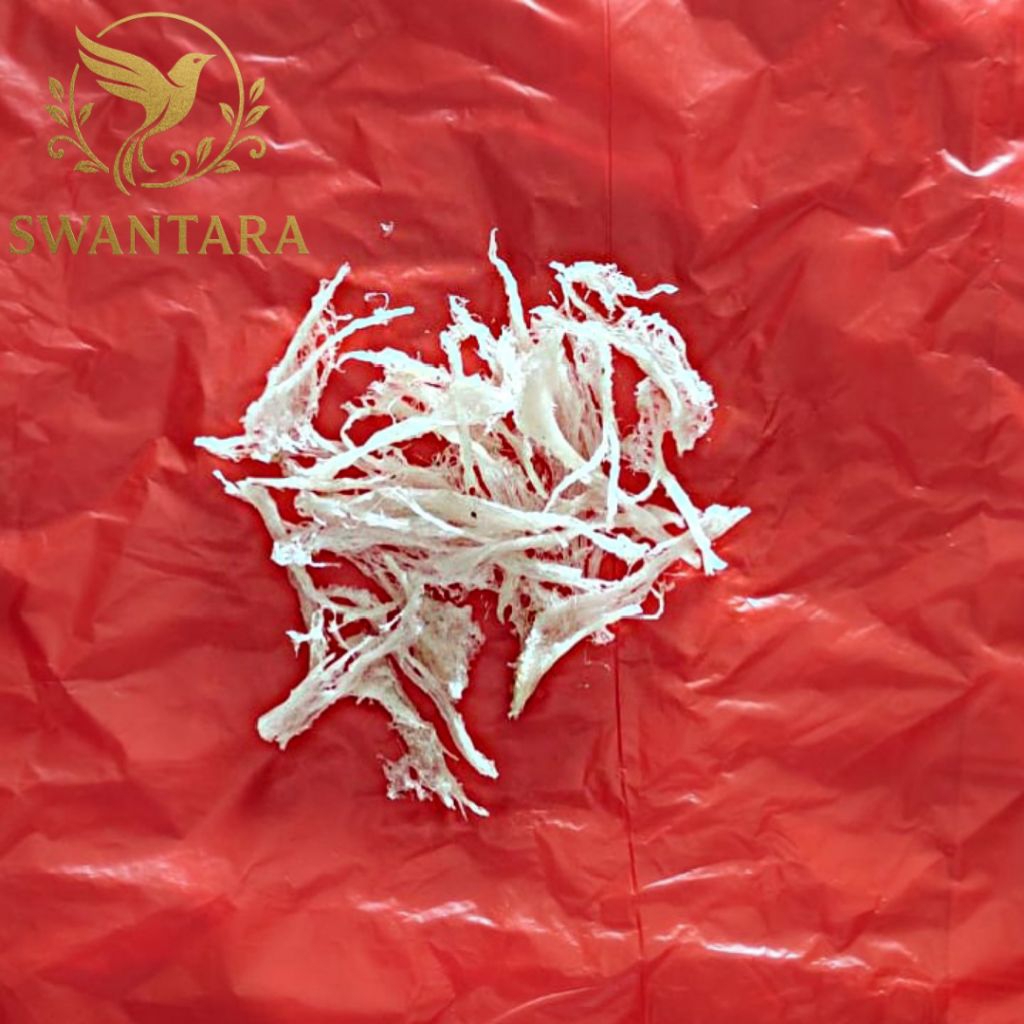 

Sarang Burung Walet Patahan 1kg / 1000 gram