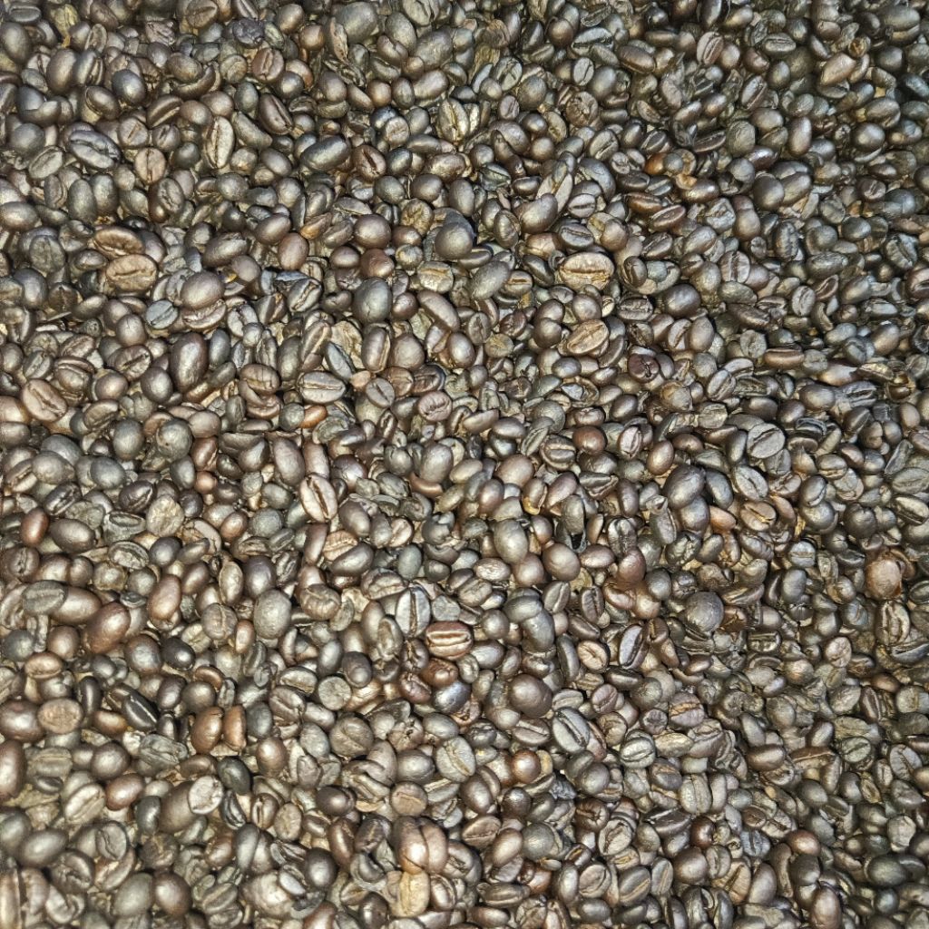 

Robusta Roasted Bean Biji Kecil