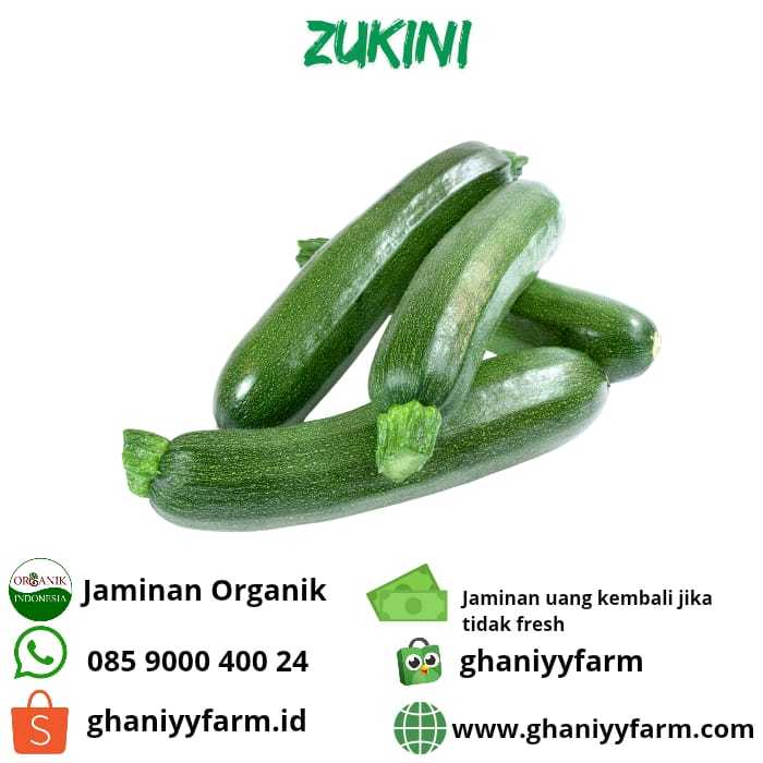 

Sayur Organik Zucchini Organik 500Gram
