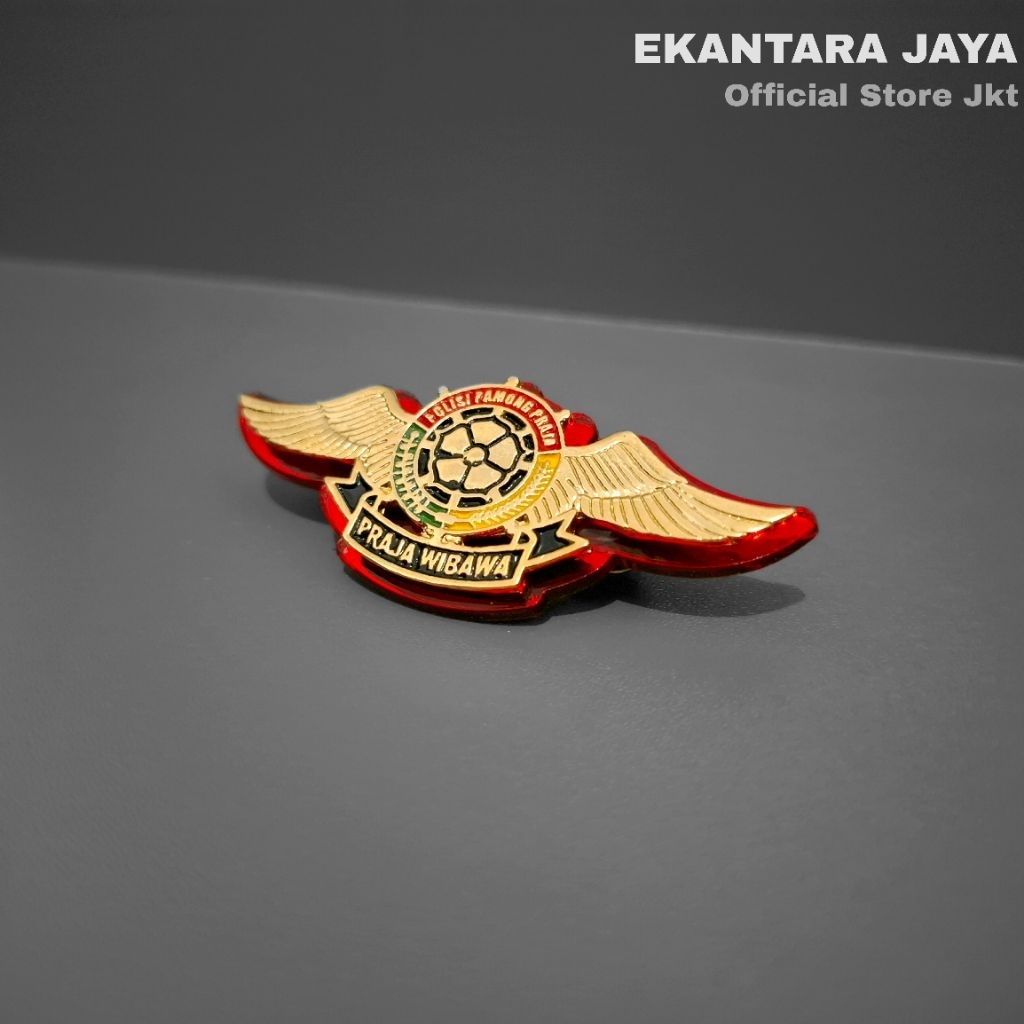 Wing satpolpp/Wing polpp/Atribut satpolpp/Atribut polpp full mika