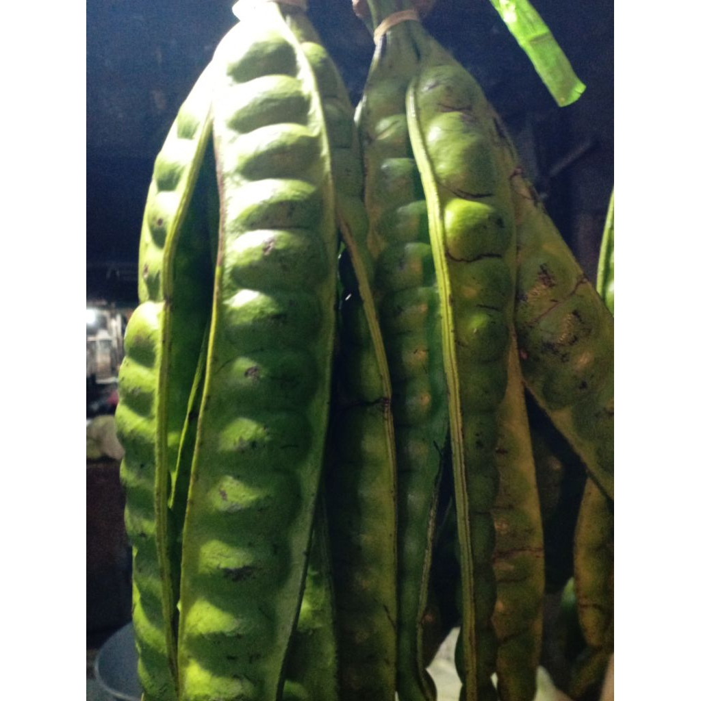 

PETAI PETE MLANDING isi 10papan