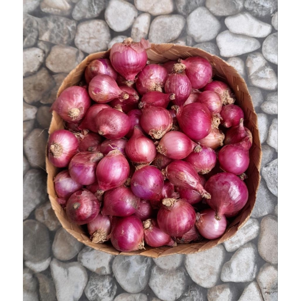 

1000gr Bawang Batu Bawang Karet Fresh Ukuran tanggung sedang campur