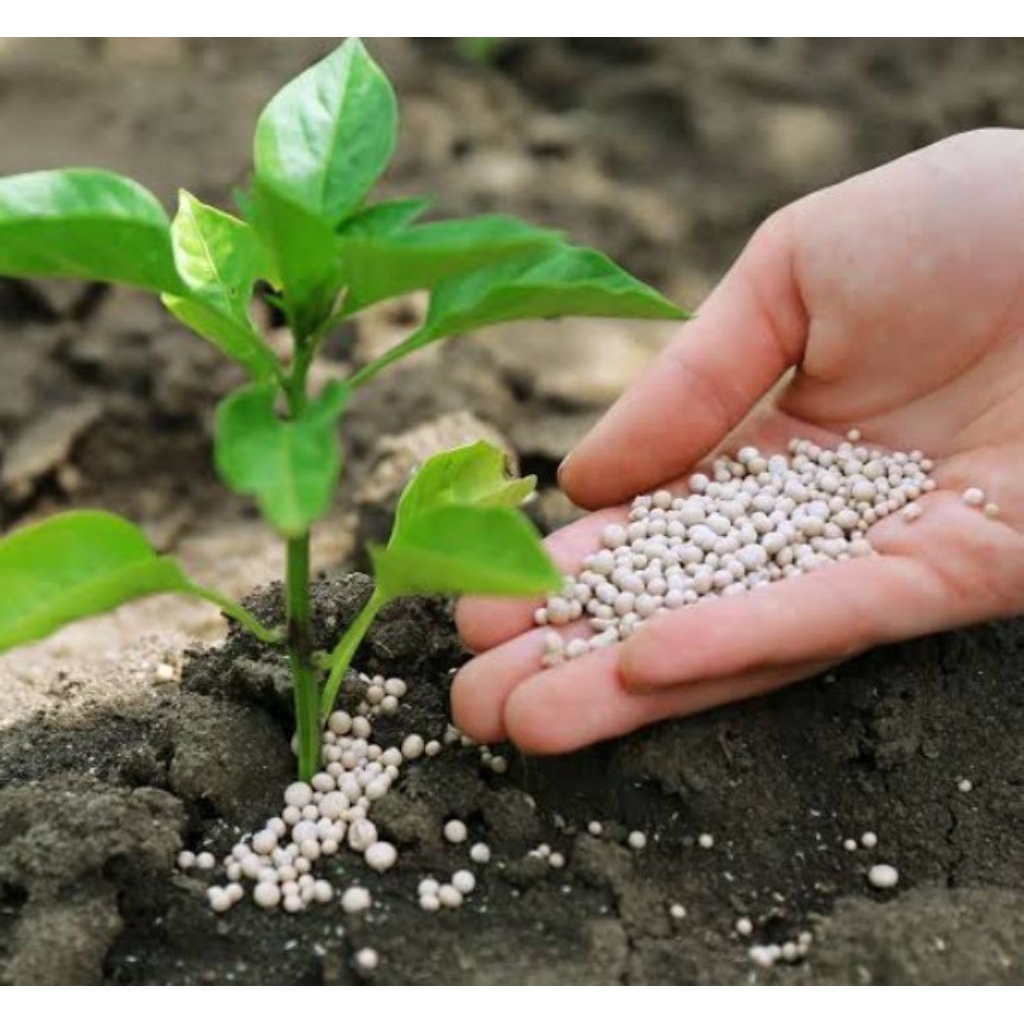 pupuk semua jenis tanaman