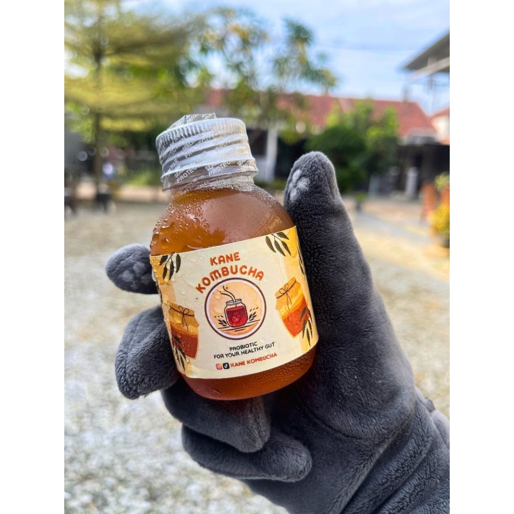 

Kombucha 100ml