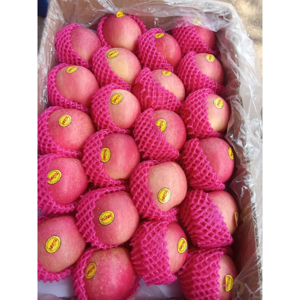 

Apel Fuji berat 950-1kg