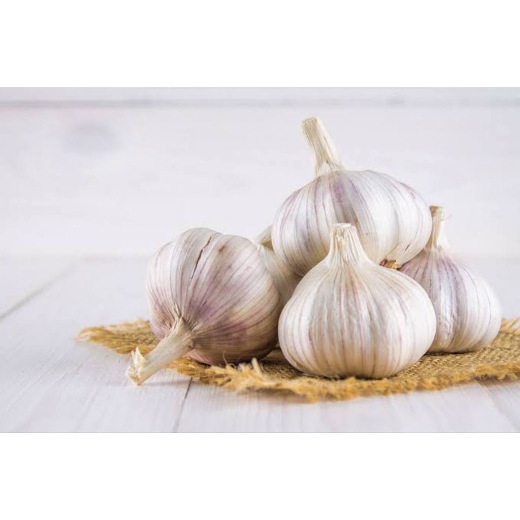 

bawang putih 1kg