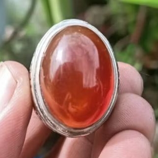 Cincin Batu Akik Rafflesia Madu