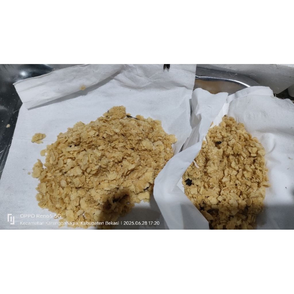 Telur Maggot BSF kualitas Super