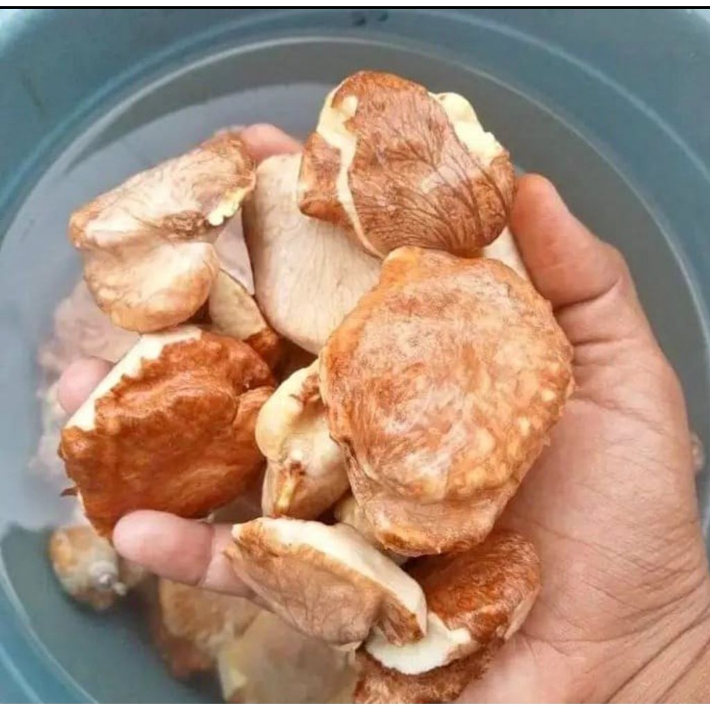 

Gayam Mentah Khas Tuban Adalah Gayam Yg Tumbuh Di Area Bebatuan Membuat Gayam ini Memiliki Rasa Yg Lebih Gurih SCRA Murni,Empuk,Harum&Kenyal (1Kg)