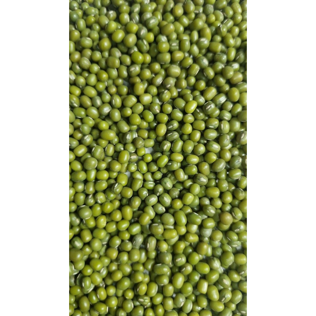 

Promo Kacang Hijau australia 1kg