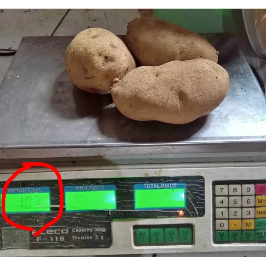 

Kentang dieng ukuran besar super 1 kg 3 biji