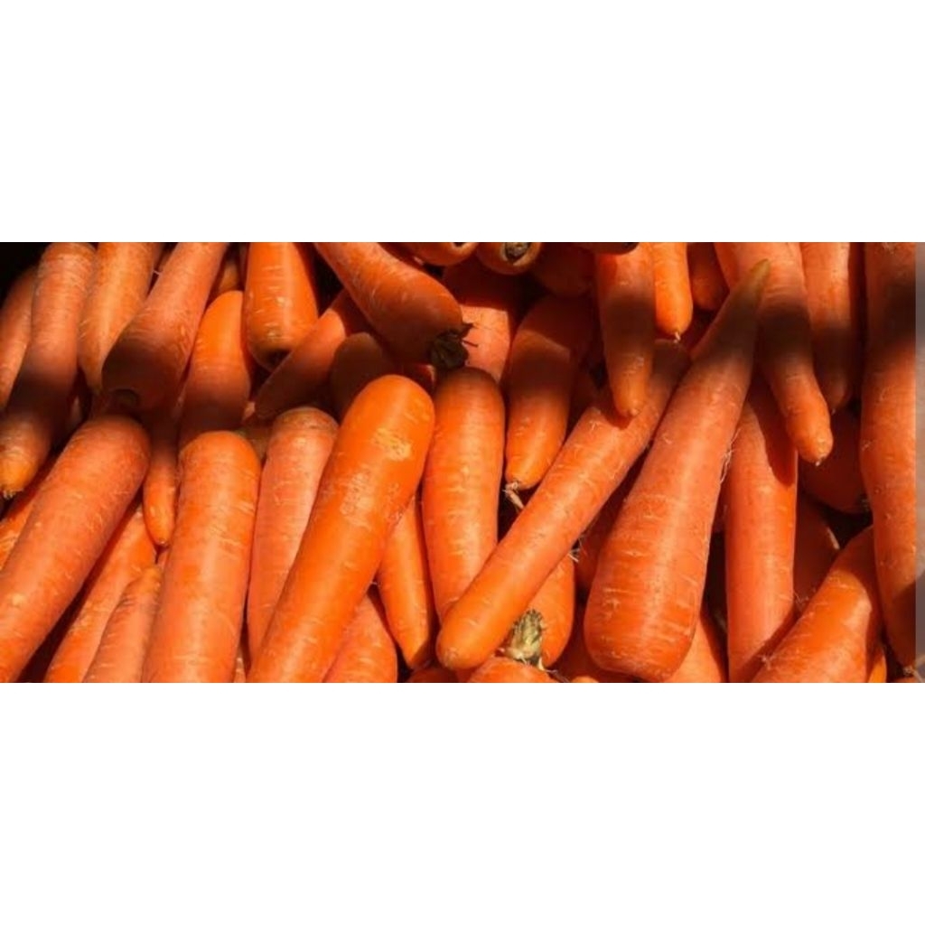 

WORTEL SUPER premium