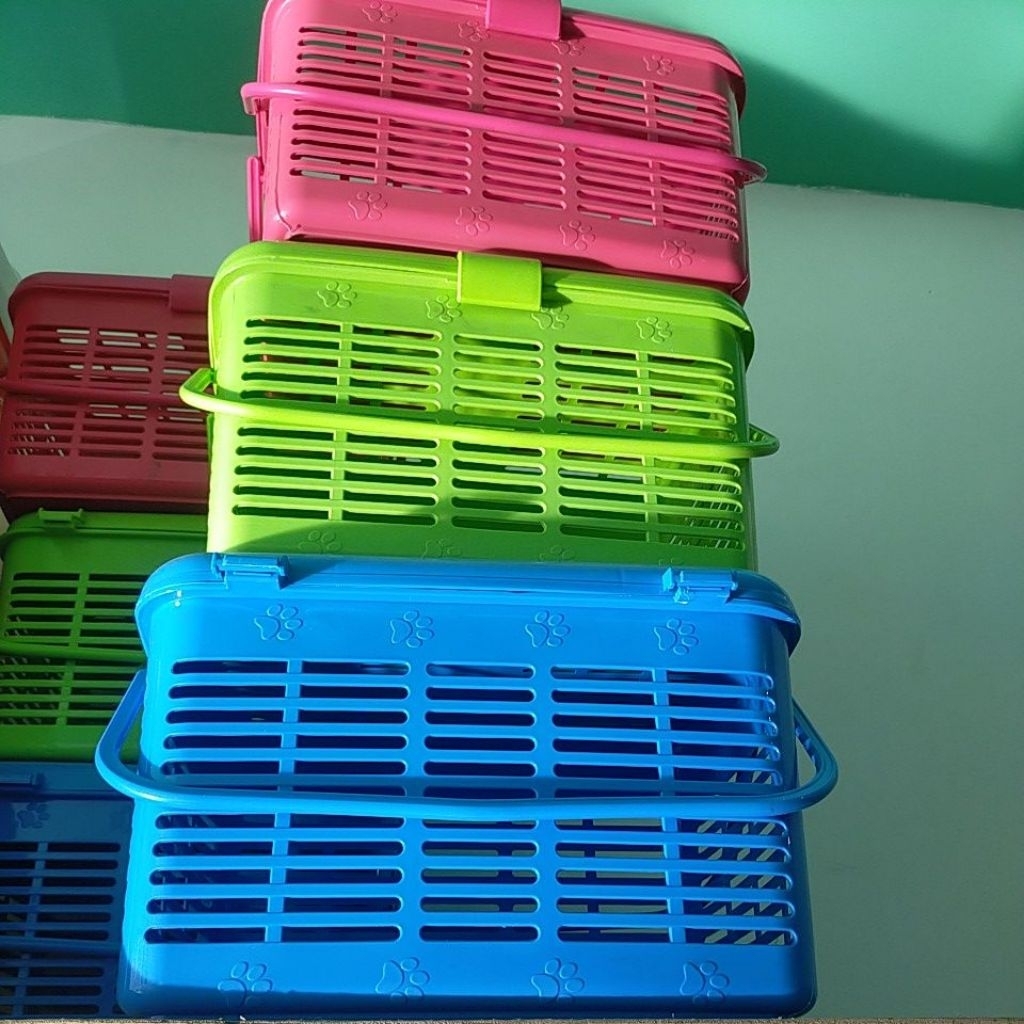 Keranjang Kucing