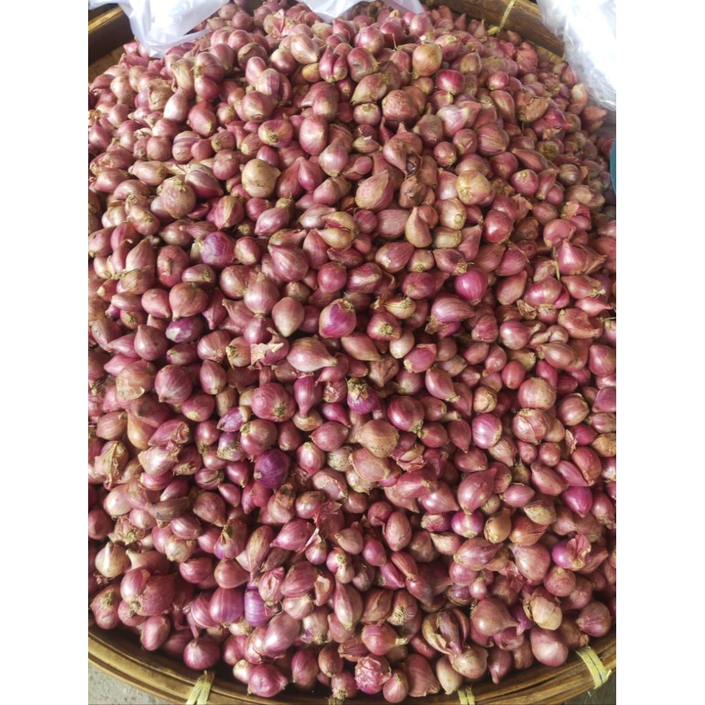 

BAWANG MERAH