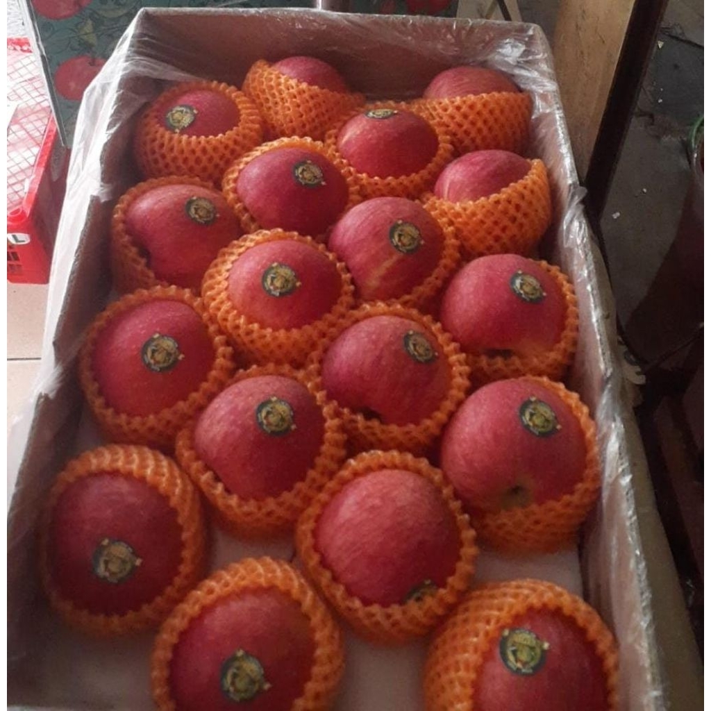 

Indukbuah Buah Apel Fuji Premium 1 Dus 13kg