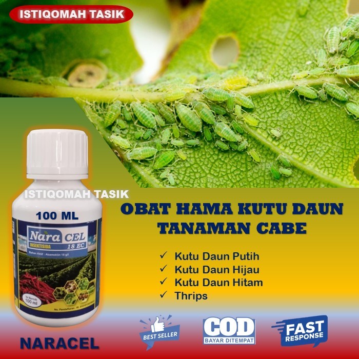 NARACEL 18 EC Obat Hama Kutu Daun Hijau Cabe Paling Ampuh Insektisida Kontak Sistemik Pembasmi Hama 
