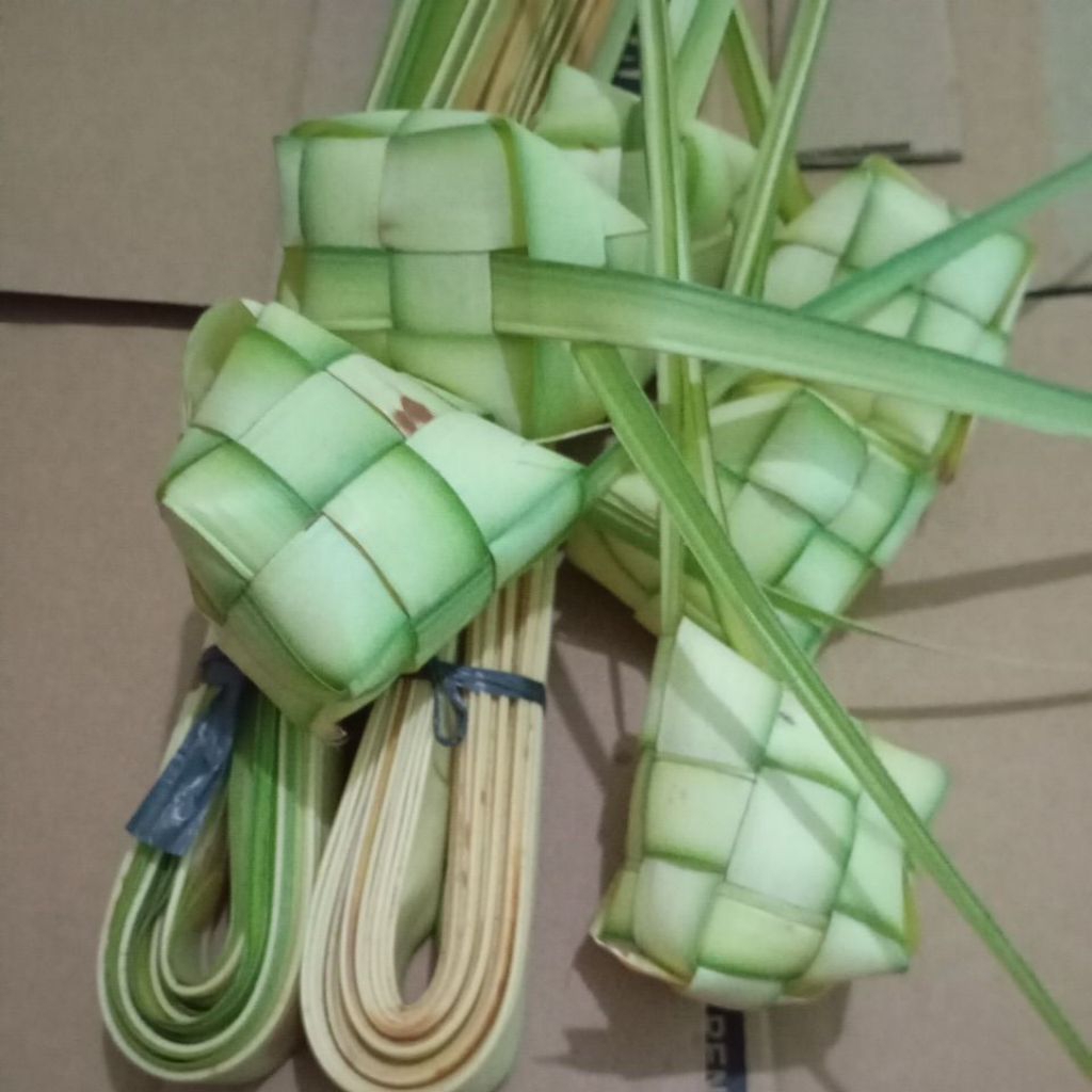 

DAUN JANUR KELAPA MUDA Segar per ikat
