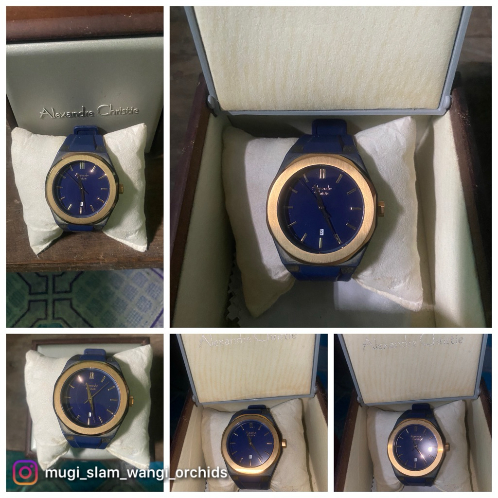 Jam Tangan Brand Alexandre Christie Original AC 8613 MD BERG
