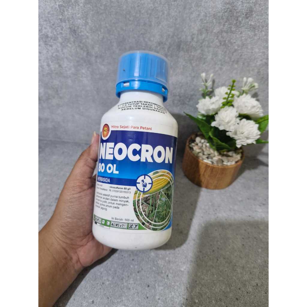 Neocron 80 OL 500Ml  Neocron Gulma Jagung Neocron Herbisida Jagung Neocron Obat Rumput Nicosulfuron 