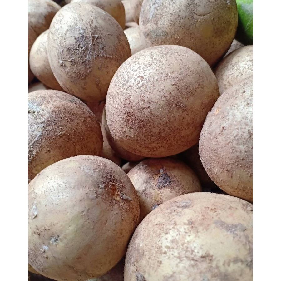 

BUAH SAWO ASLI PANGANDARAN I BUAH SAWO SEGAR 1 KG I BUAH SAWO MATANG I BUAH SAWO