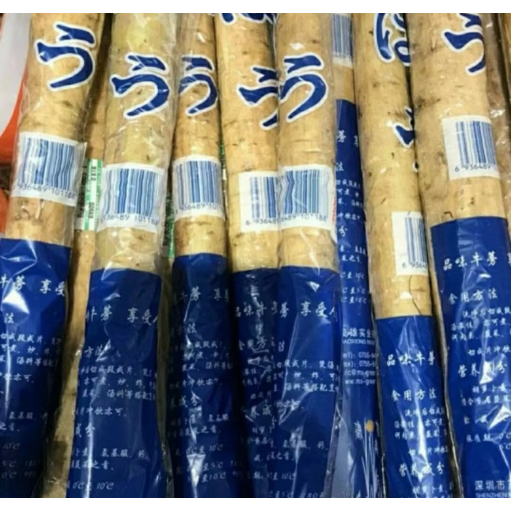 

Akar Gobo Burdock | Ketela Jepang | Pcs