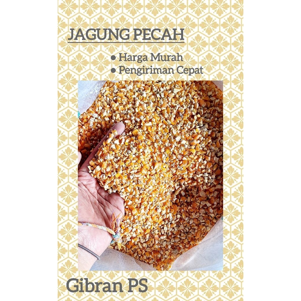 Jagung Pecah