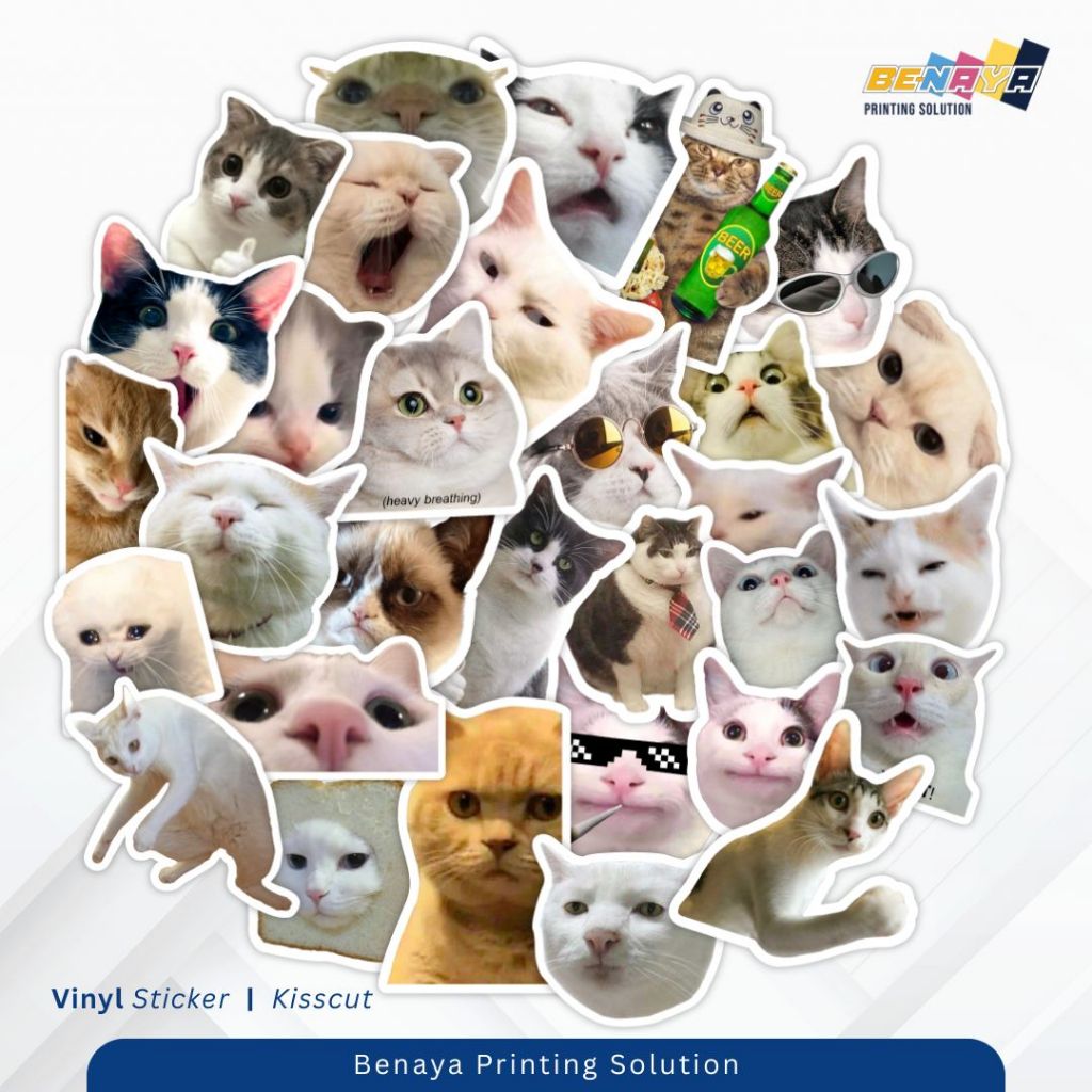 

Sticker Pack Meme Kucing Aesthetic Paper Vinyl Waterproof Dekorasi Laptop Buku Journal Koper