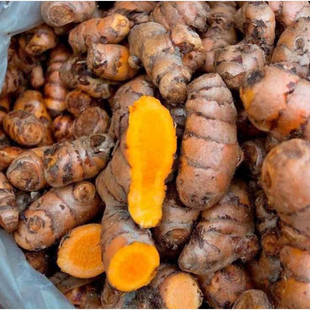 

kunyit langsung dari petani 1kg barang masih segar