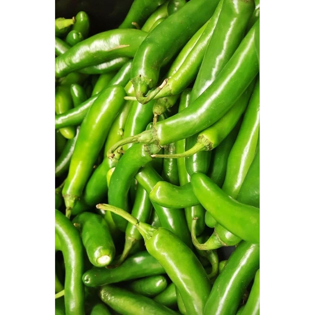 

cabe ijo besar 250gr