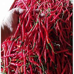 

cabe merah kriting fresh 250g