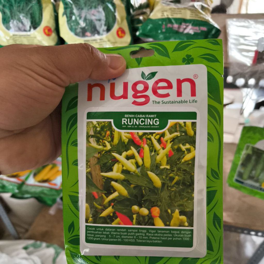 BENIH CABAI RAWIT RUNCING (NUGEN)