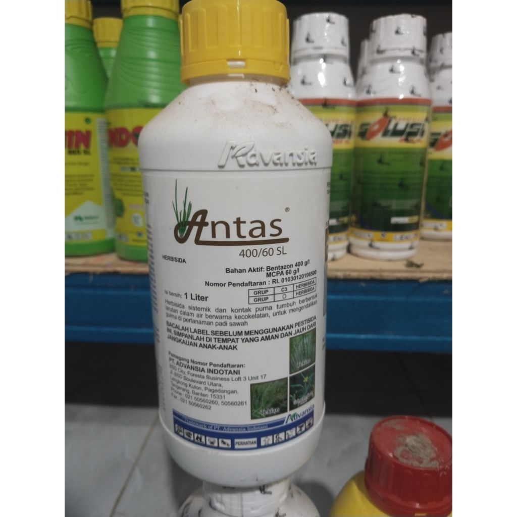 ANTAS 1L HERBISIDA PEMBASMI TEKI MUNGSEN