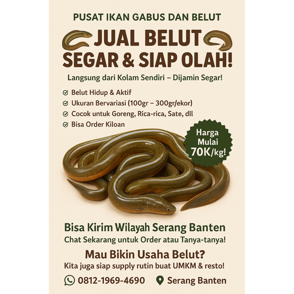 

BELUT SAWAH HIDUP