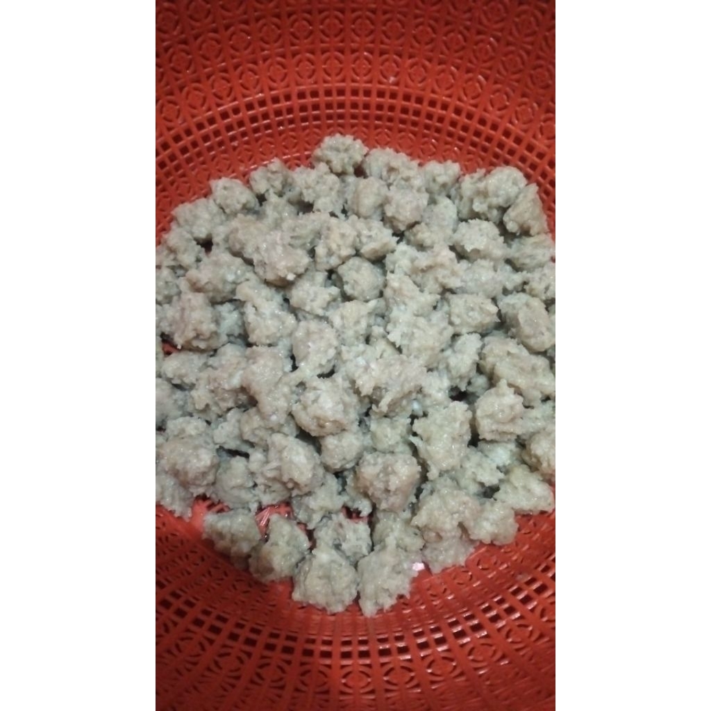 

pentol kriwil tulang rangu