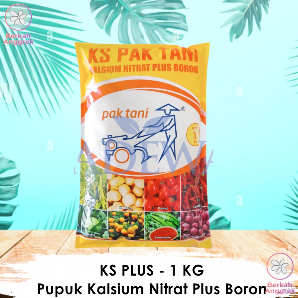 Pupuk KS 1 Kg Pupuk Cantik 1 Kg Pupuk Kalsium Nitrat