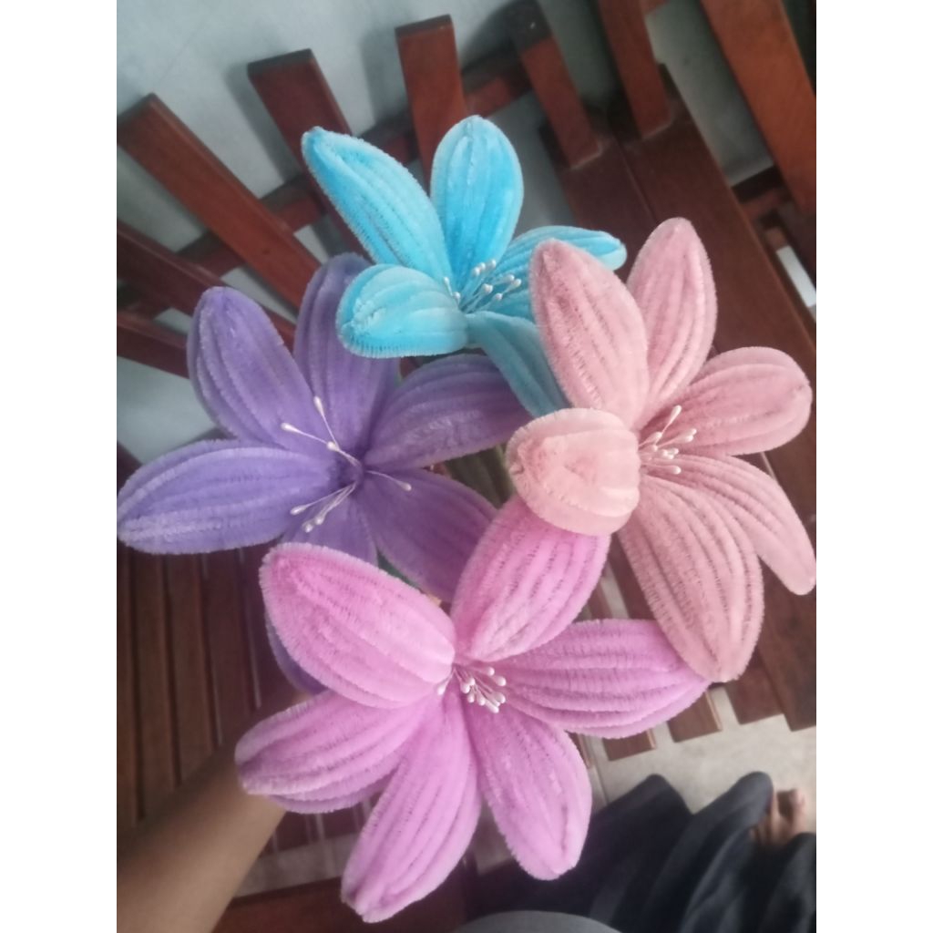 Bunga lili kawat bulu/bunga kawat bulu pertangkai