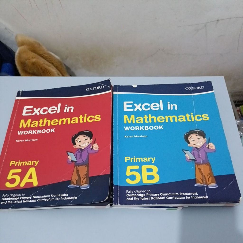 Excel in Mathematics Workbook 5