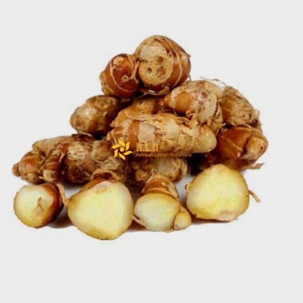 

kencur segar 250 gram