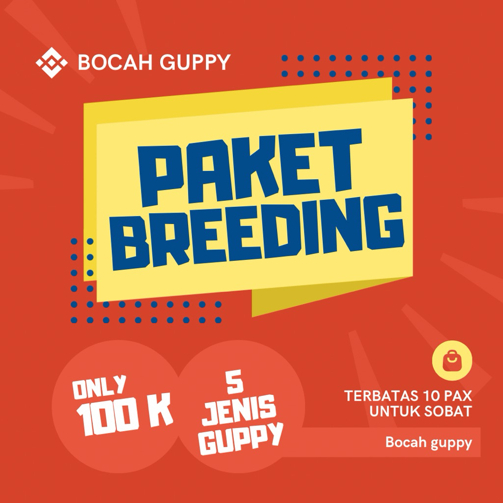 Paket Breeding 5 Indukan Guppy