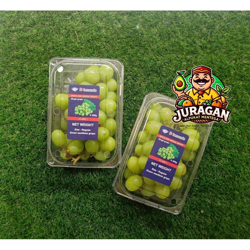 

Anggur Shine Muscat Green Seedless Grapes / Anggur Hijau Anggur Sultan Fresh