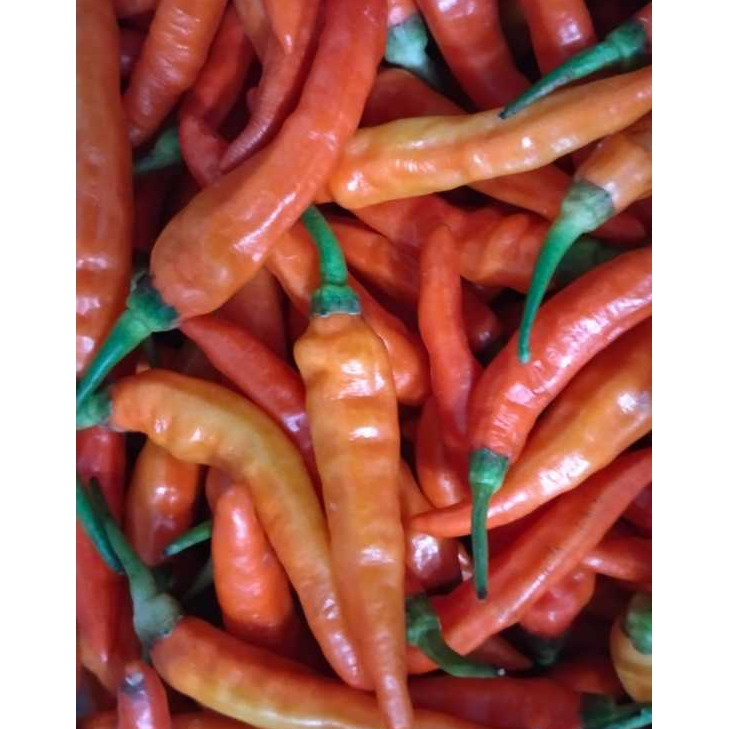 

Cabai/Cabe Rawit Merah Super Segar 1Kg