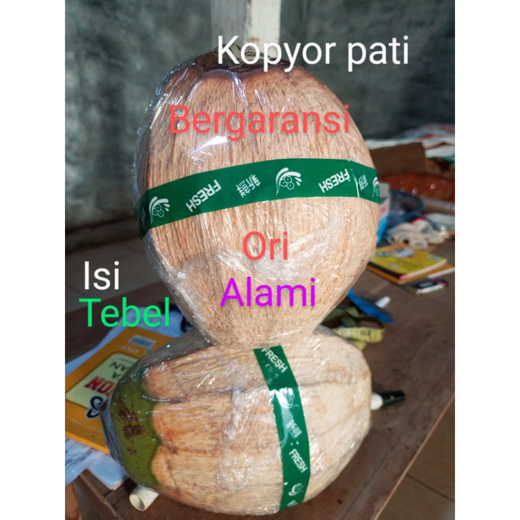 

kopyor Pati bergaransi uk41-43cm bergaransi