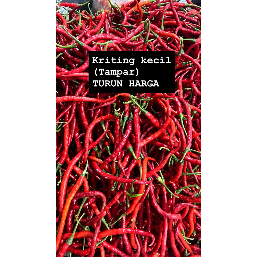 

CABE KRITING KECIL TAMPAR 1kg)MAX CO 1kg (wajib baca deskripsi)