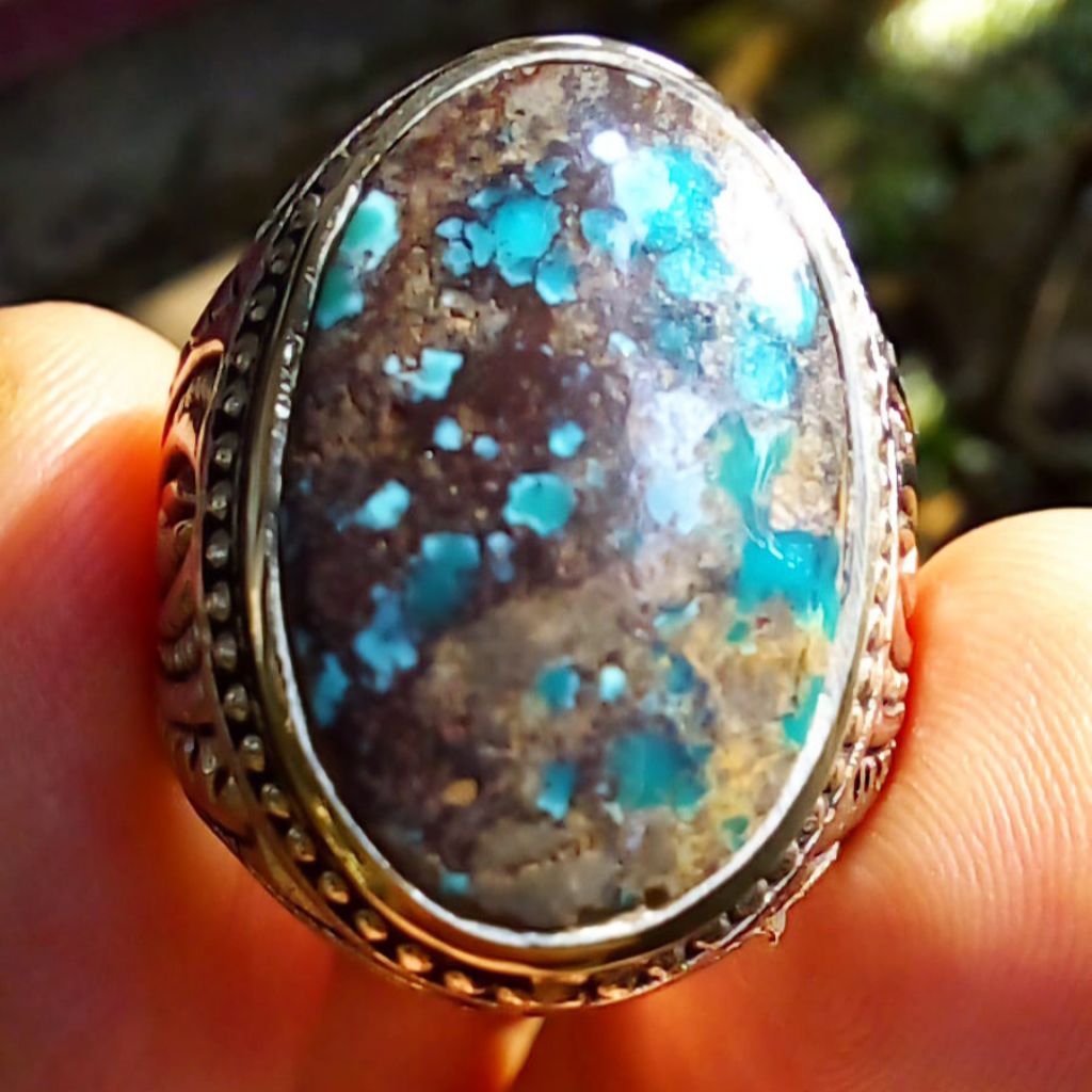 Pirus Persia Royal Blue Urat Hitam