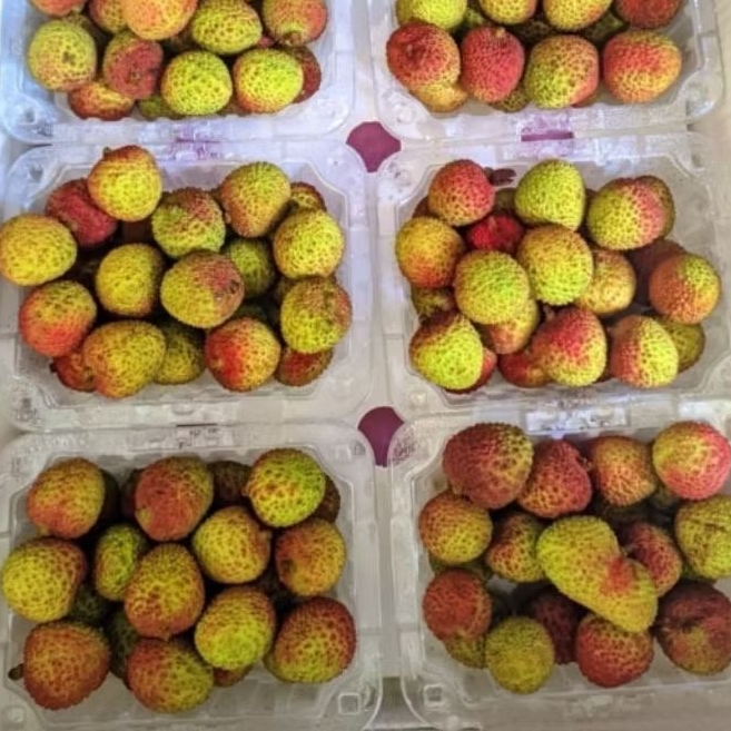 

Buah Leci Madu 1 box