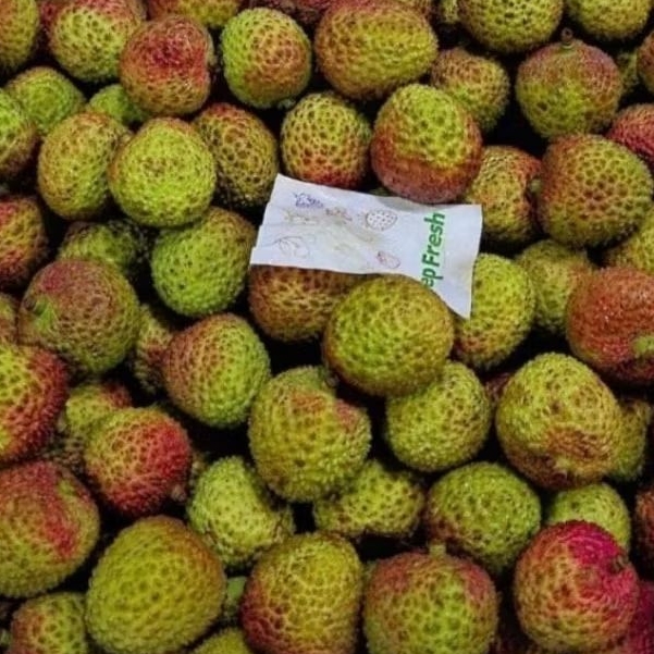 

Buah Leci Madu 1 kg